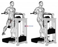 Lever Side Hip Adduction