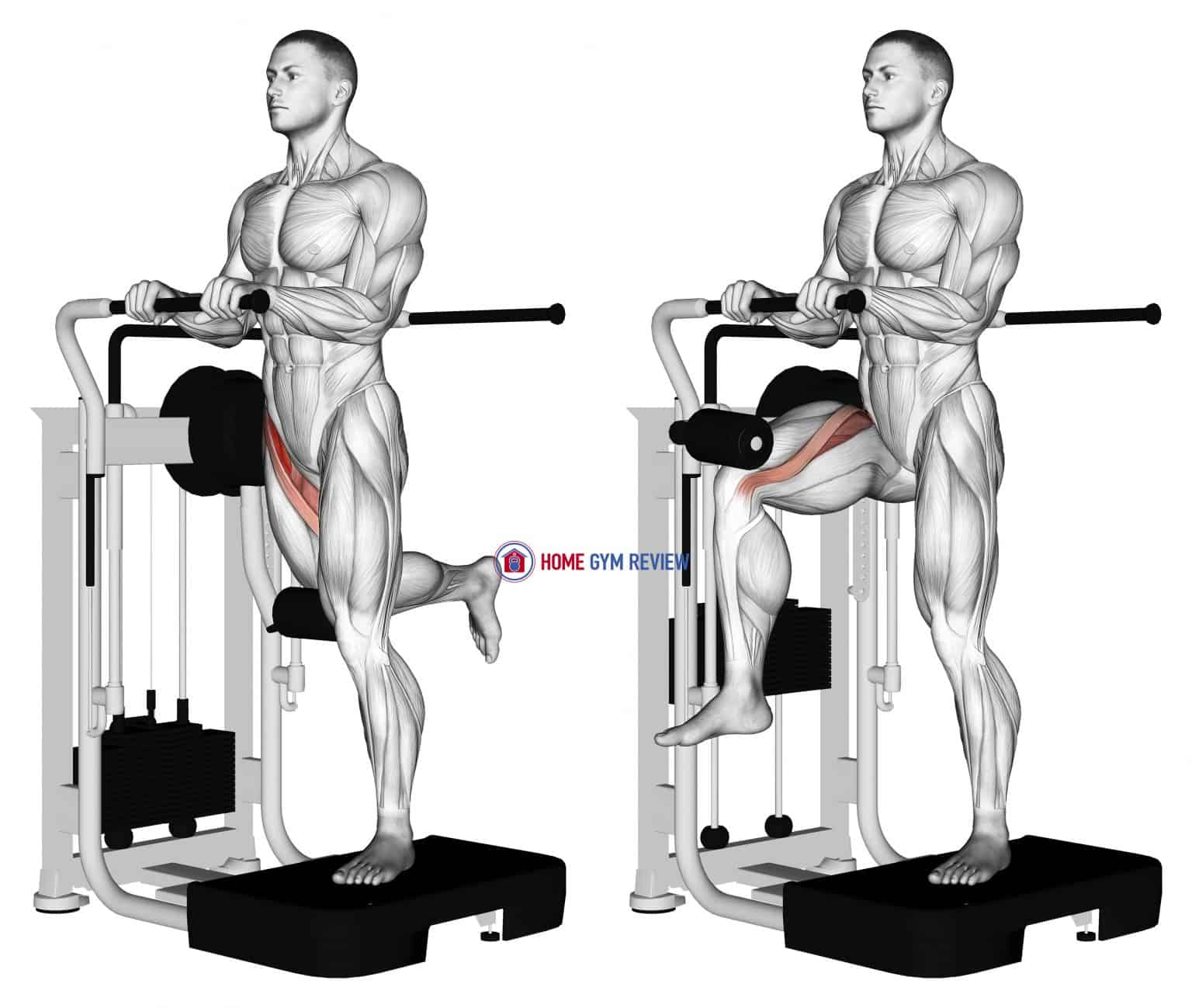 Lever Standing Leg Raise - Home Gym Review