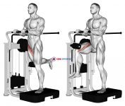 Lever Standing Leg Raise