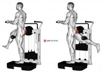 Lever Standing Rear Kick