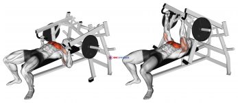 Lever Lying Chest Press (plate loaded)