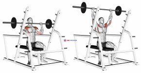 Barbell Seated Military Press (inside squat cage)