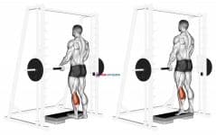Smith Calf Raise (with block)