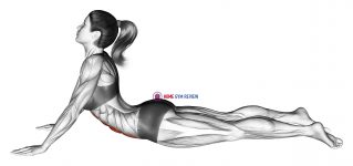 Lying (prone) Abdominal Stretch