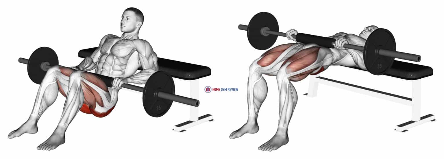 Barbell Hip Thrust Home Gym Review