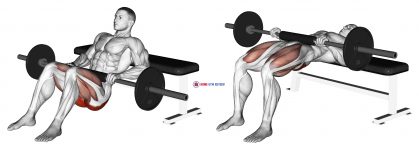 Barbell Hip Thrust