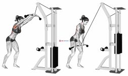 Cable straight arm pulldown (version 2)