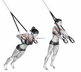 Suspension Chest Press