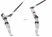 Suspension Front Raise