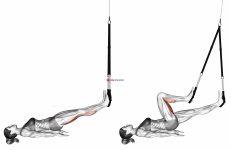 Suspension Hamstring Runner