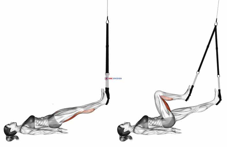 Suspension Hamstring Runner Home Gym Review