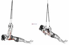 Suspension Inverted Row