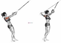 Suspension Reverse Fly