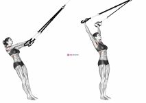 Suspension Y Lateral Raise