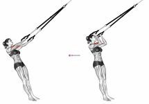 Suspension Arm Curl-to-Ears