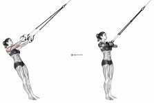 Suspension Biceps Clutch