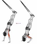 Suspension Handstand Push-up