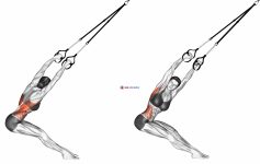 Suspension Lat Stretch