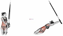 Suspension Oblique Rollout