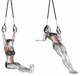 Suspension Pull-up (version 2)