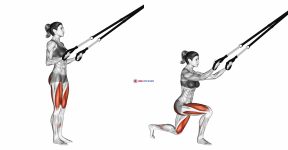 Suspension Rear Lunge