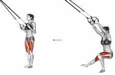 Suspension Side Lunge