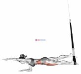 Suspension Single Leg Plank (straight arm)