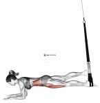 Suspension Single Leg Plank