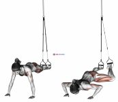 Suspension Spiderman Push-up