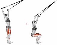 Suspension Squat (Arms Overhead)