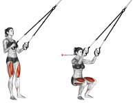Suspension Squat