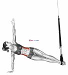 Suspension Star Plank