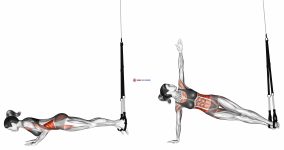 Suspension Star Push-up