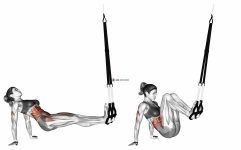 Suspension Supine Crunch