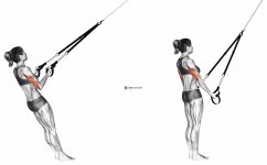 Suspension Triceps Kickback