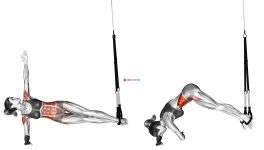 Suspension Twist Side