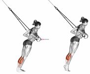 Suspension Calf Raise