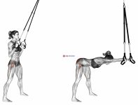 Suspension Hip Hinge