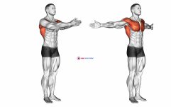 Dynamic Chest Stretch (male)