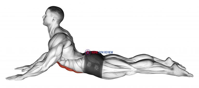 Lying (prone) Abdominal Stretch (male) - Home Gym Review