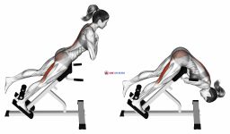45 degree one leg hyperextension (arms in front of chest)