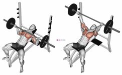 Barbell Incline Wide Reverse-grip Bench Press