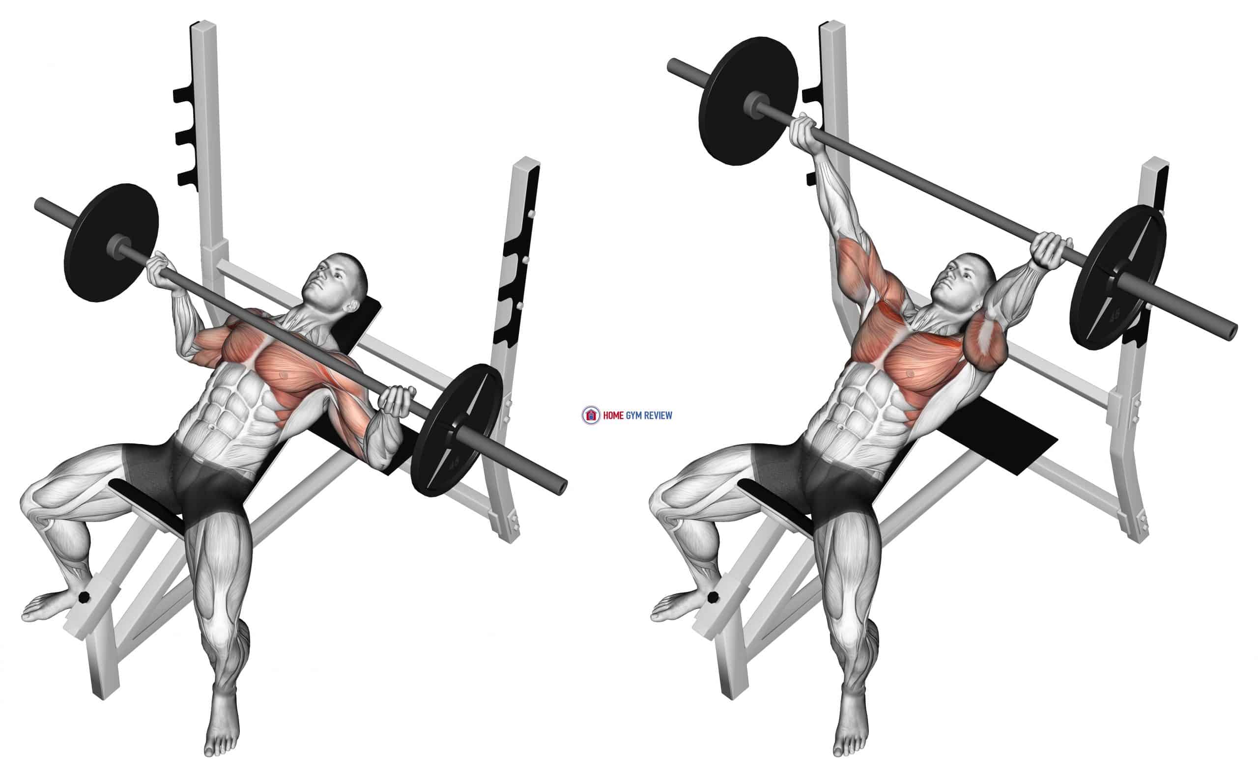 bench-press-with-safety-bar-support-gymleco-strength-equipment