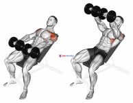 Dumbbell Incline Front Raise