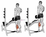 Dumbbell Standing Single Leg Calf Raise
