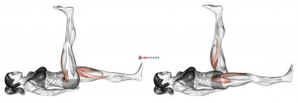 Lying Simultaneous Alternating Straight Leg Raise