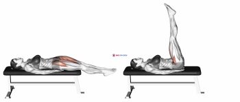 Lying Straight Leg Raise (version 2)