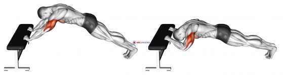 Triceps Press (Head Below Bench)
