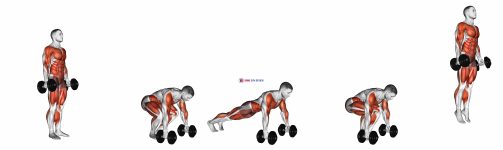 Dumbbell burpee