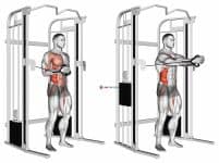 Cable horizontal Pallof Press